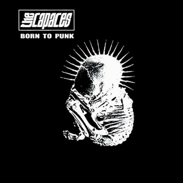 Born To Punk